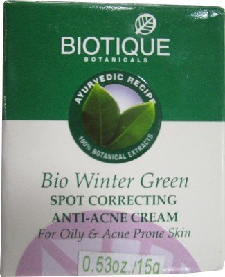 Biotique Winter Green Spot Correcting Anti Acne Cream