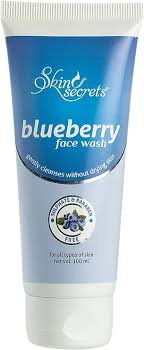 Skin Secrets Blueberry Face Wash