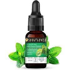 Soul Flower Peppermint Essential Oil 