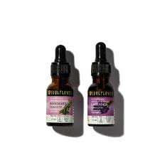 Soul Flower Rosemary Lavender Essential Oil Set