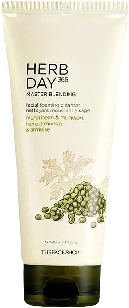 The Face Shop Herb Day 365 Foaming Cleanser - Mungbean & Mugwort