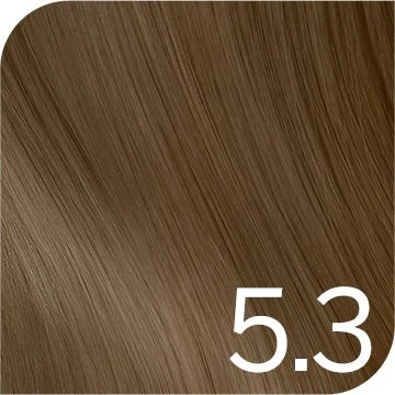Revlonissimo Colorsmetique Permanent Hair Color Goldens - Light Golden Brown 5.3